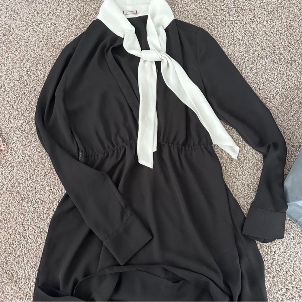 Aritzia Black and Cream Button-Up Dress